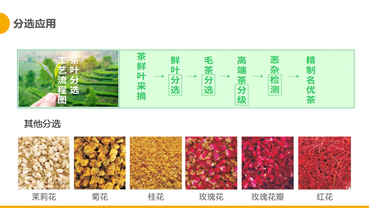 http://www.maiyaji.com/Upload/ueditor/1681365602994585.jpg