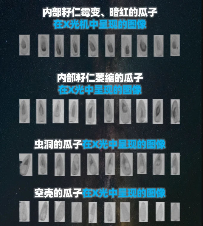 http://www.maiyaji.com/Upload/ueditor/1739781746639725.png