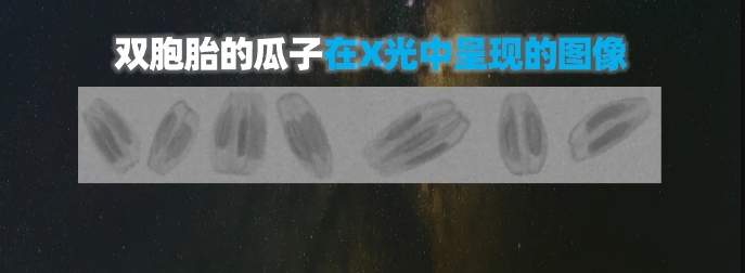 http://www.maiyaji.com/Upload/ueditor/1739781751262784.png