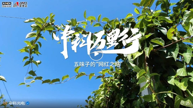 http://www.maiyaji.com/Upload/ueditor/1743473521157045.png