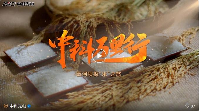 http://www.maiyaji.com/Upload/ueditor/1743473561850796.png