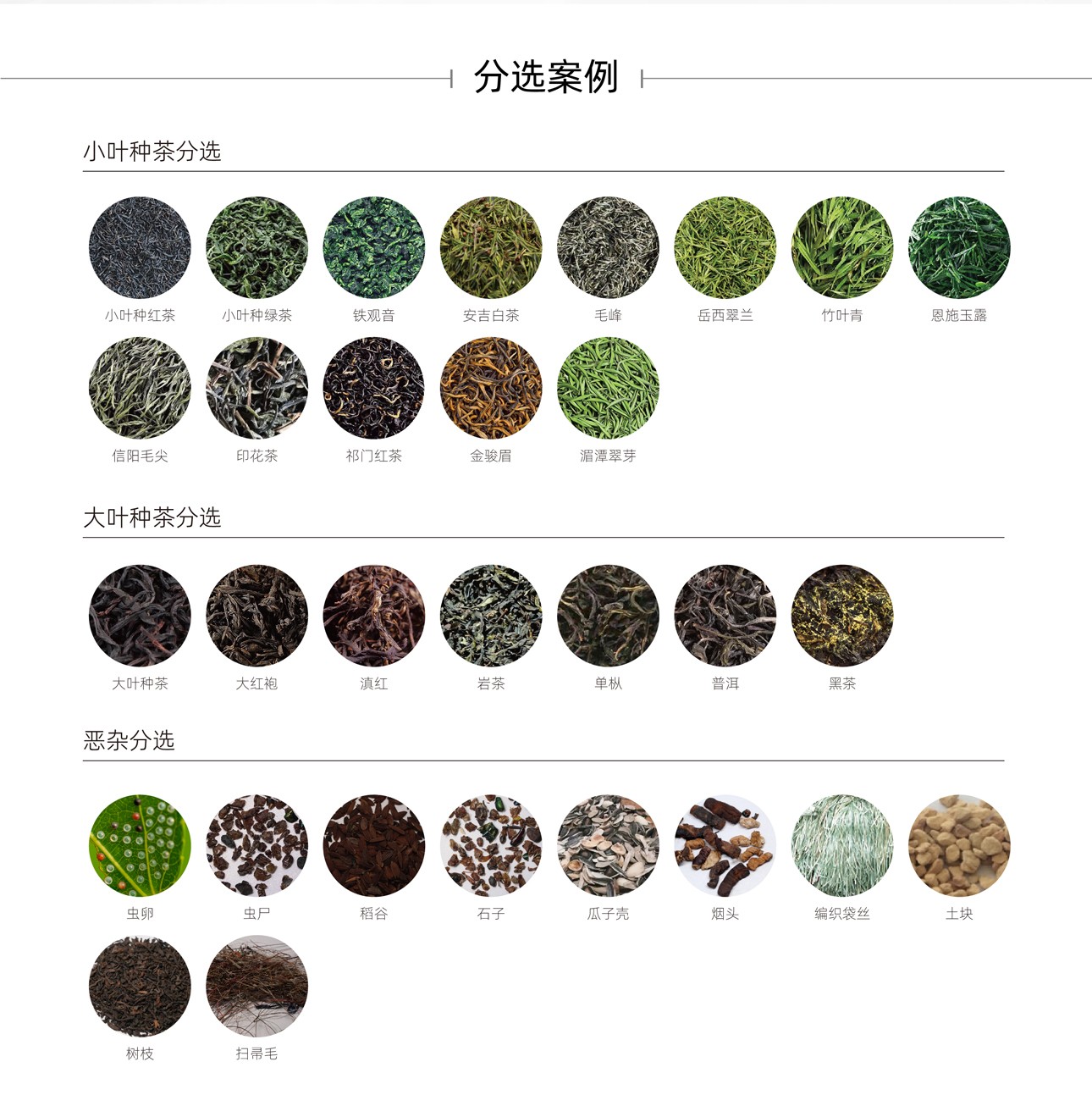 http://www.maiyaji.com/Upload/ueditor/1743476196283921.jpg