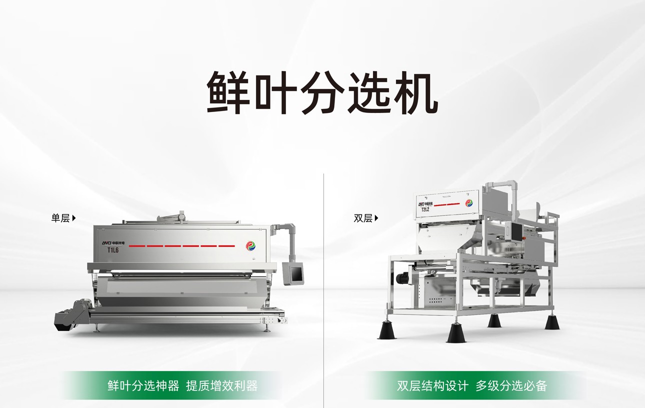 http://www.maiyaji.com/Upload/ueditor/1747984764254801.jpg